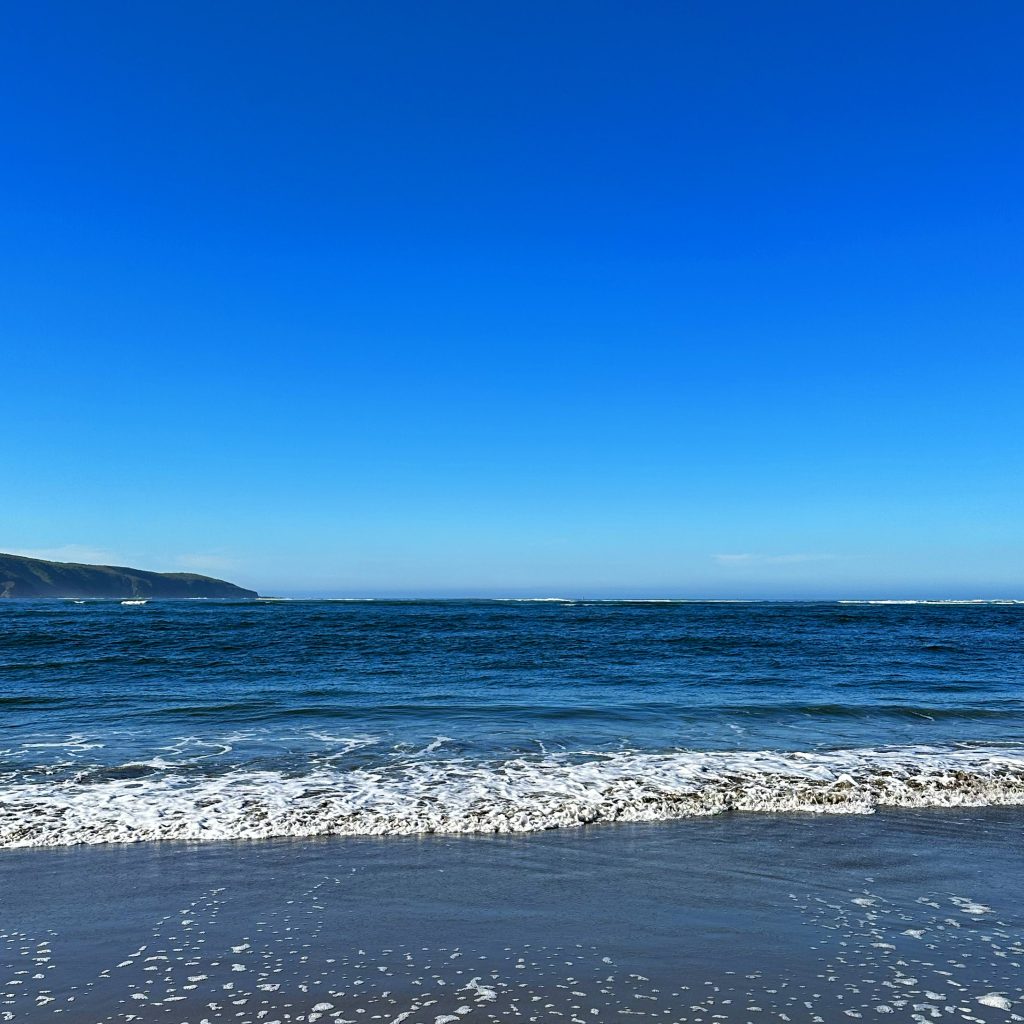 Our beautiful California coast