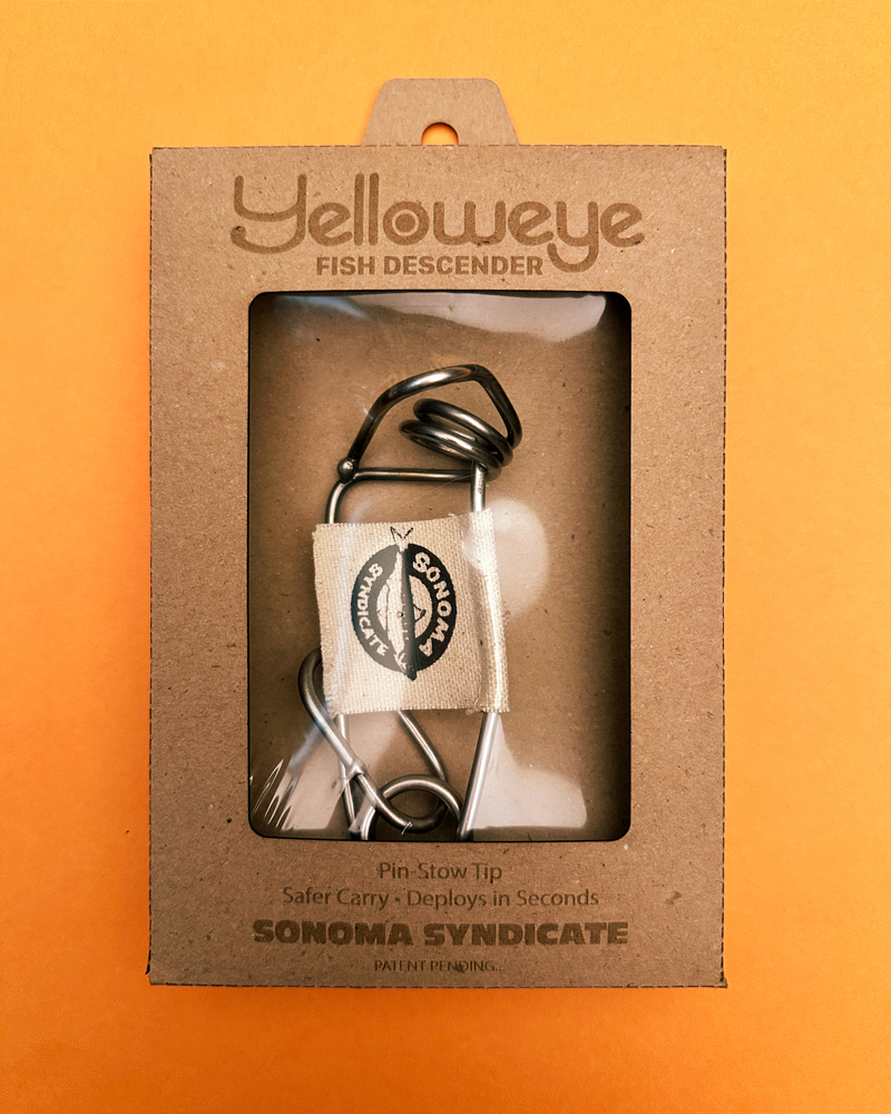 Front of the box for Yellowed Fish Descender