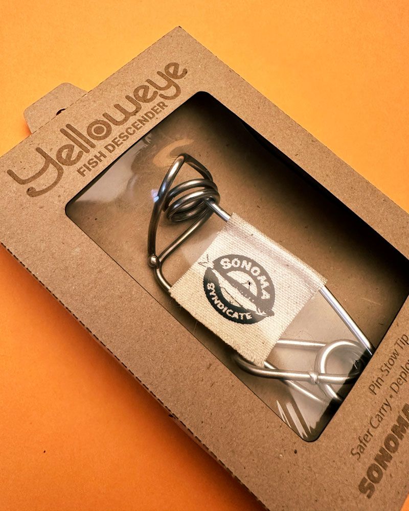 Front of the box for Yellowed Fish Descender